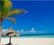 Areia branca e palmeiras são marcas das praias de Cancún