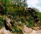 Caatinga