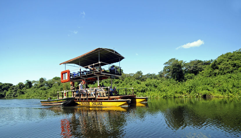 Pantanal