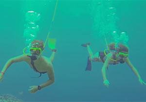 Aruba, Palm Pleasure Snorkel Adventure