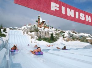 Disney's Blizzard Beach Water