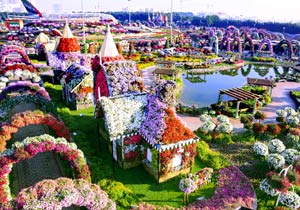 Dubai Miracle Garden