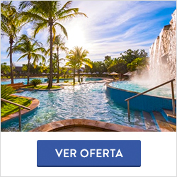 Lins, oferta
