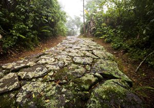 Paraty, Caminho do Ouro