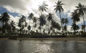 Aracaju. Mangue Seco