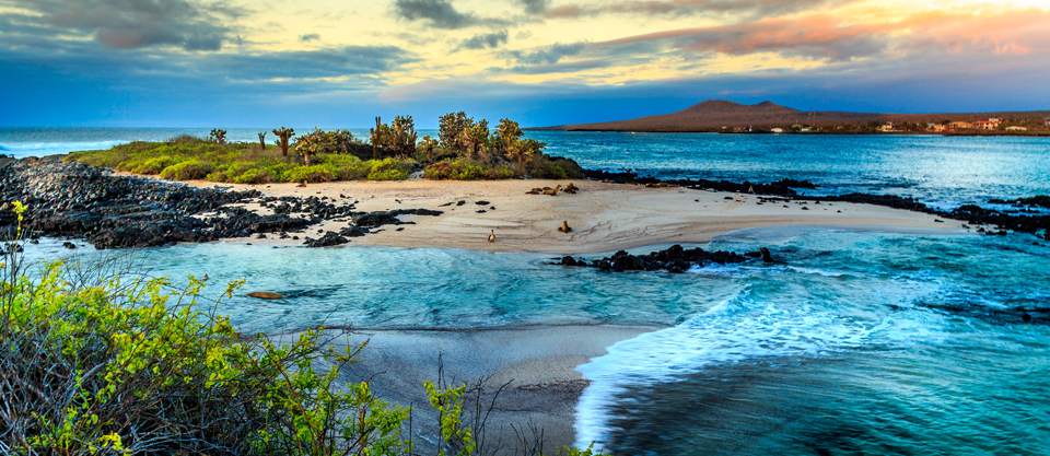 Frota pesqueira chinesa ameaça vida selvagem das Ilhas Galápagos