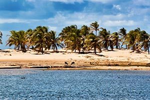 Aracaju, dunas do rio São Francisco