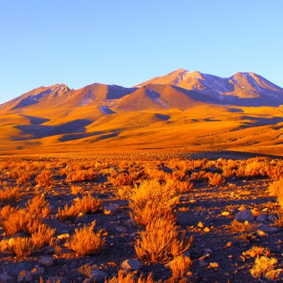 deserto do atacama - altiplano