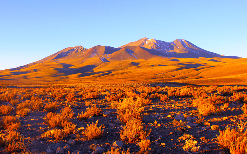 deserto do atacama - altiplano