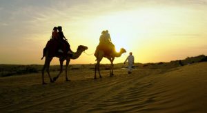 dubai-passeio-camelos