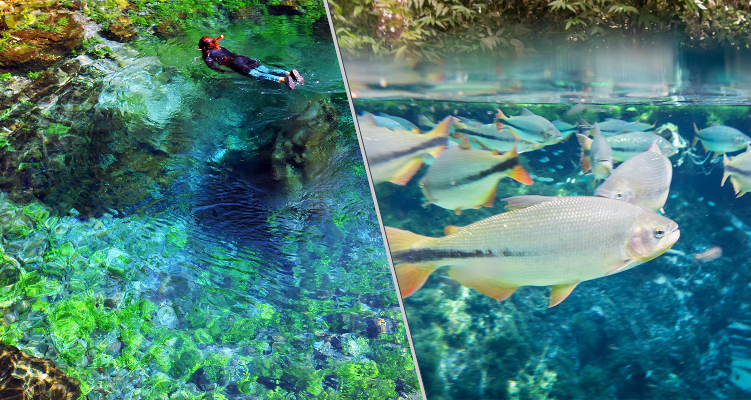 Bonito e Nobres