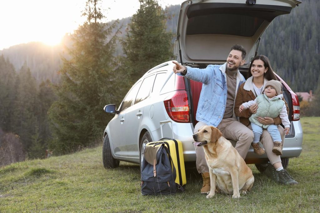 Entenda como funcionam os Hotéis Pet Friendly para você levar seu pet em todos os lugares da forma correta