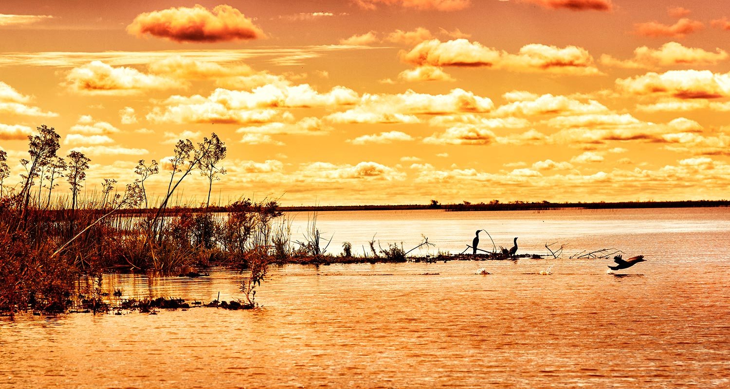 Esteros del Iberá, Argentina