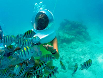 xcaret-seawalker