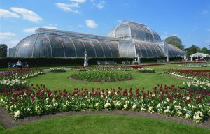 kew-gardens-londres