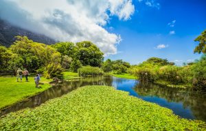 kirstenbosch-cidade-do-cabo