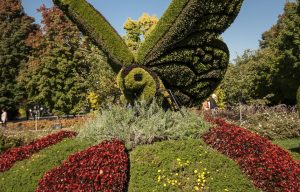 montreal-botanical
