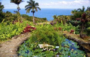 naaina-kai-botanical-garden