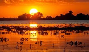 pacote-pantanal