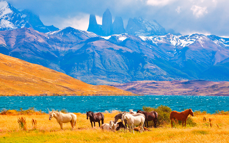  chile-torres-del-paine