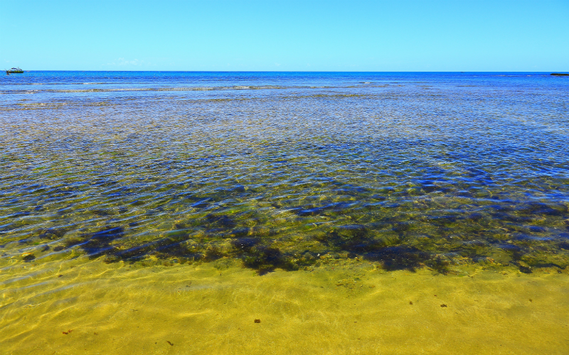 Ilha de Boipeba