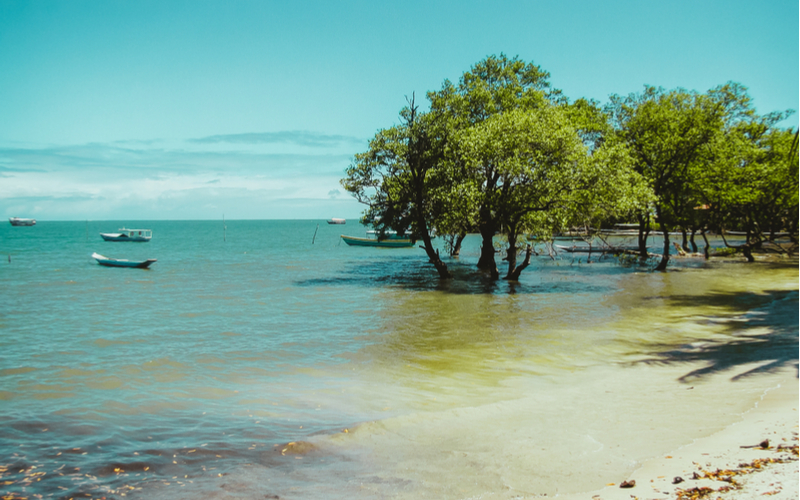 Ilha de Boipeba 3