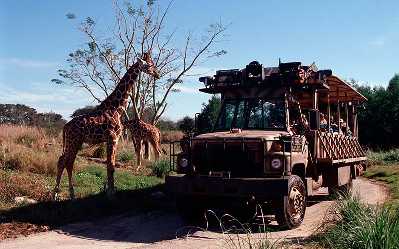 Animal Kingdom