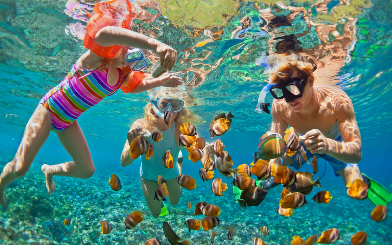 Bahamas