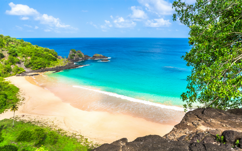 Praia do Cachorro