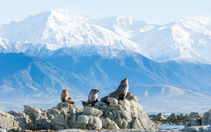 01-Kaikoura-Canterbury-Kyle-Mulinder