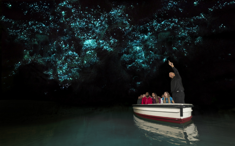 4_Waitomo_Glowworm_Caves_Waikato