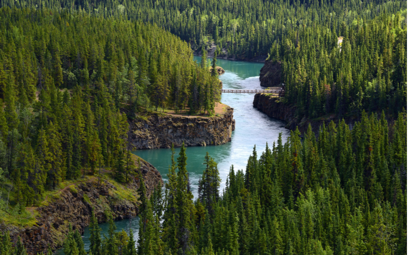 whitehorse-shutterstock-1185788410