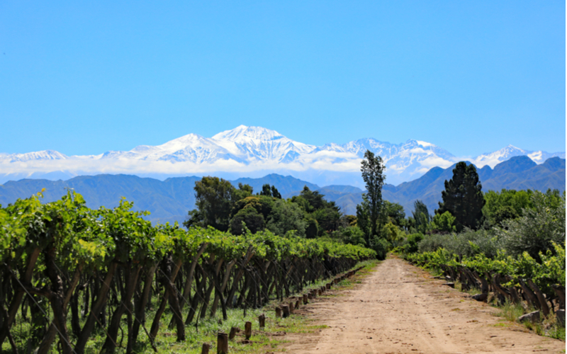 Mendoza