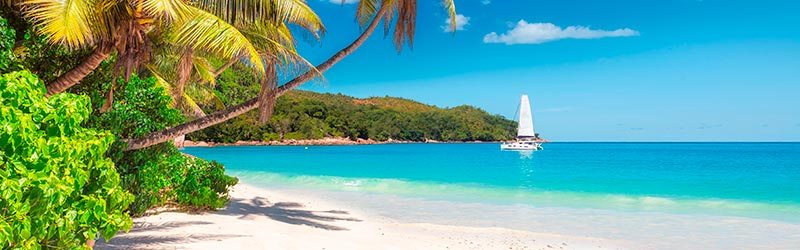 Jamaica