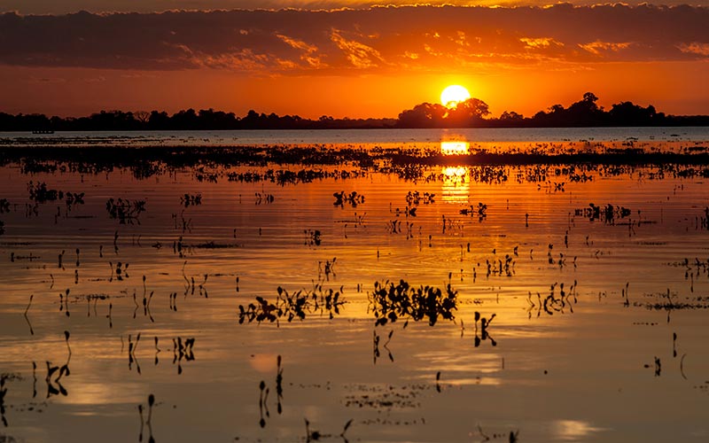 pantanal-por-do-sol-ms-487786861
