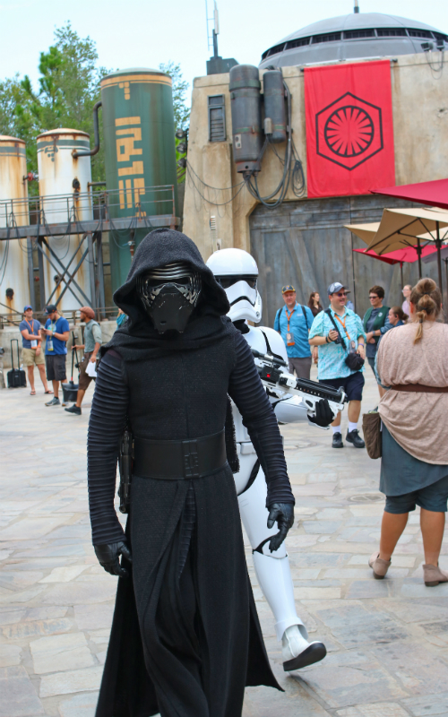 IMG_4731_KYLO REN