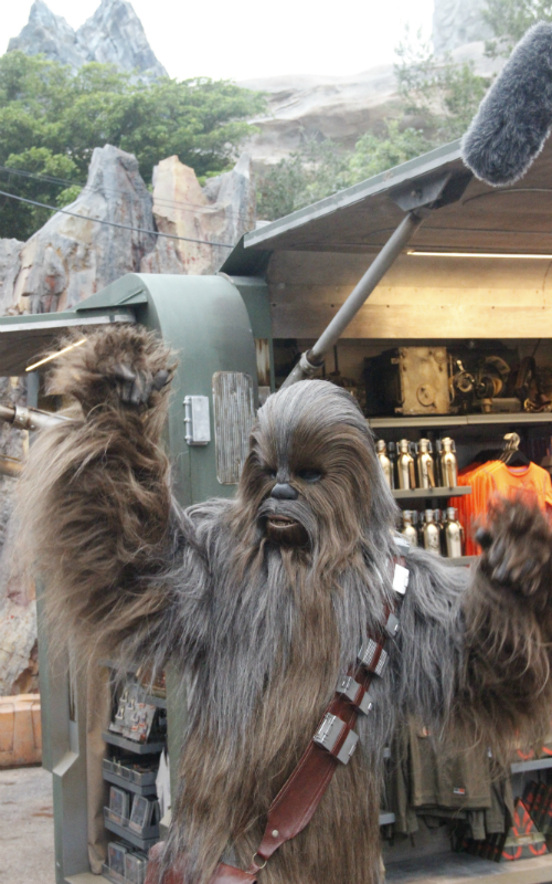 _MG_3766_CHEWBACCA