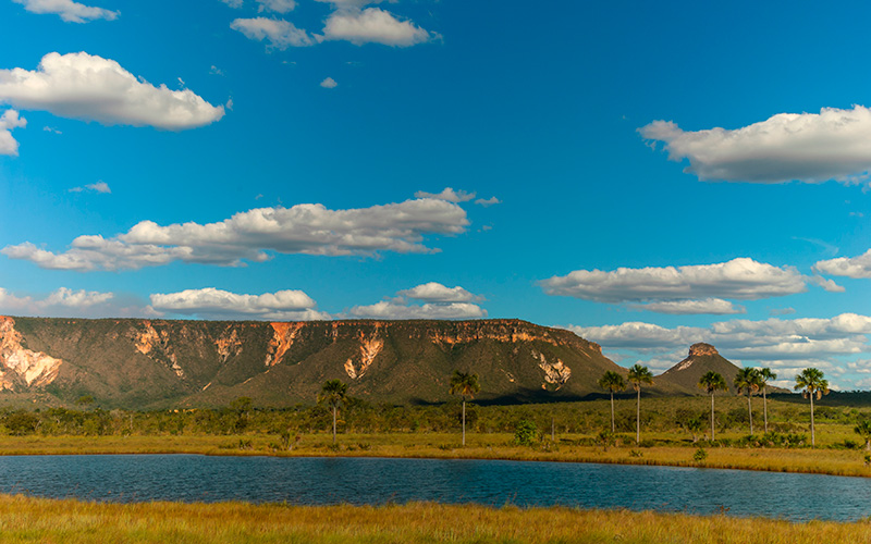 jalapao-tocantins-shutterstock-481055593