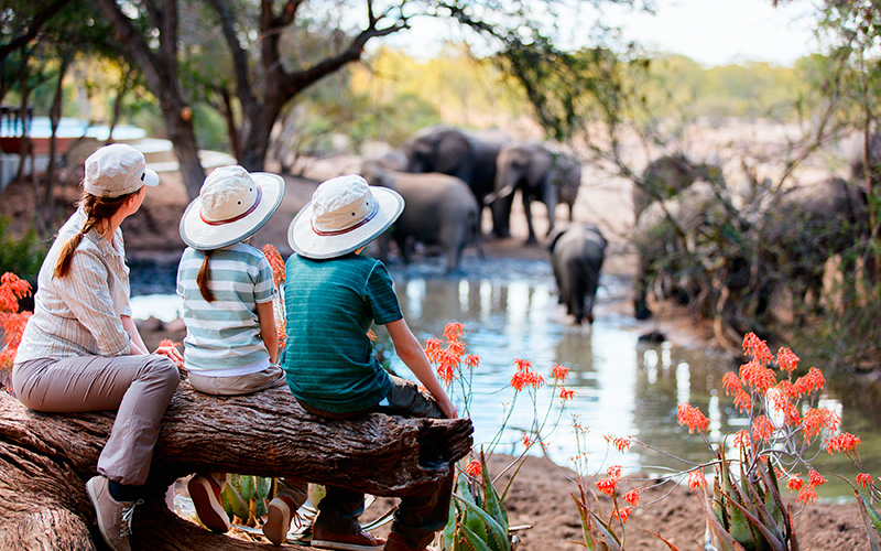 afrika'da safari