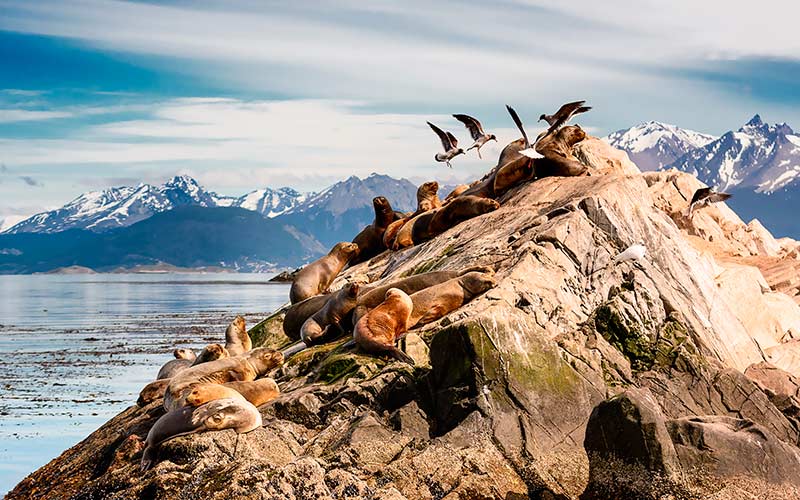 Ushuaia