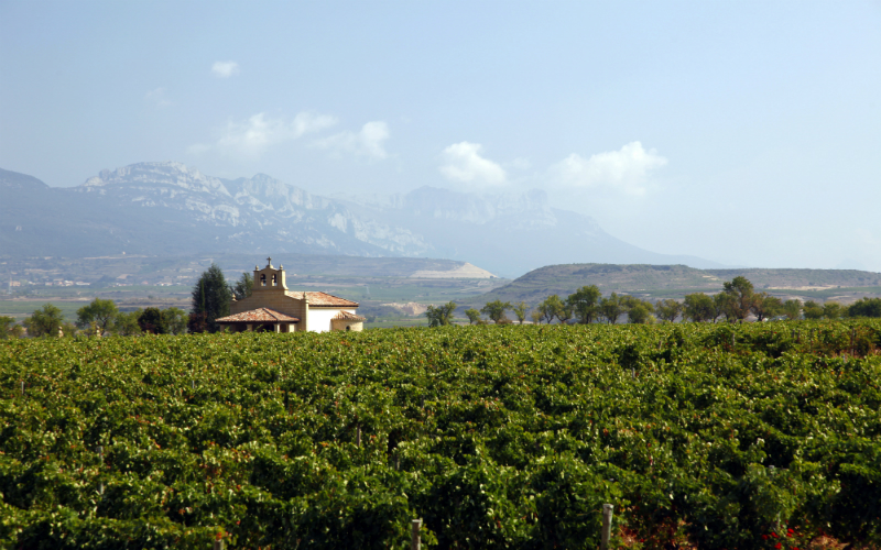 bodegas vivanco_briones_rioja