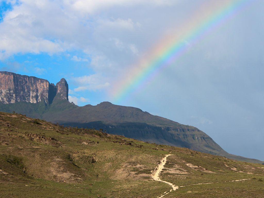 Faça uma caminhada pelo Monte Roraima e aprecie de perto a beleza de um lugar intocado.