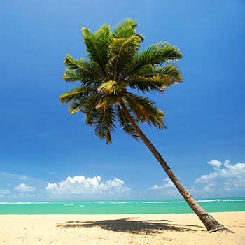 Maceió