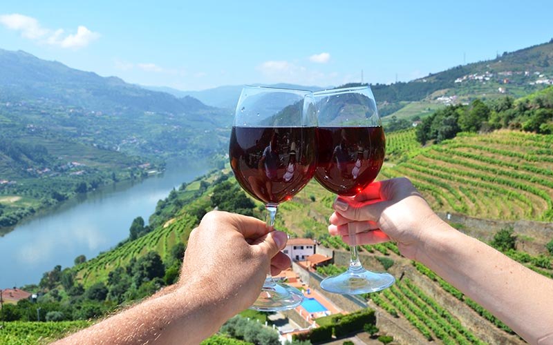 Vinho