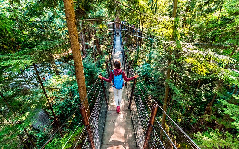 canada-ponte-capilano-678527071