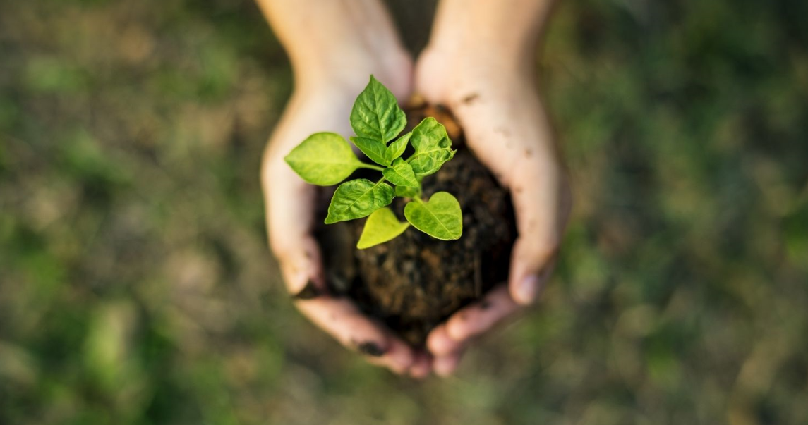 reprograma-sustentabilidade-nos-meios-de-transporte