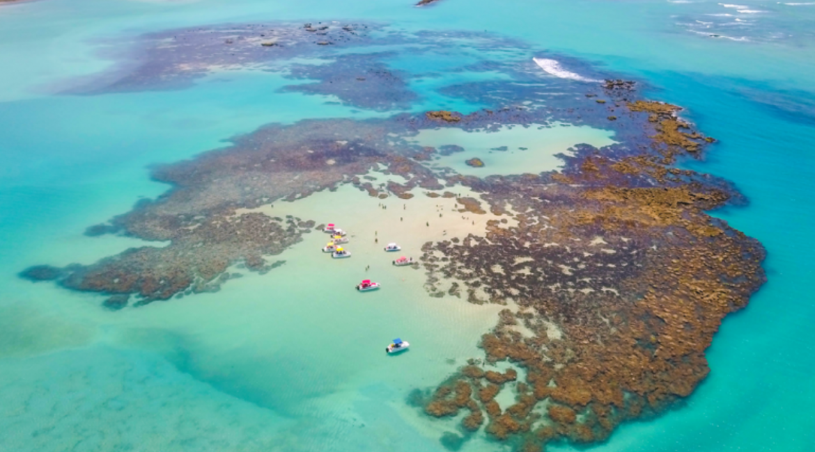 Maragogi: onde fica, quando ir, quantos dias ficar, Saiba tudo sobre  viagens