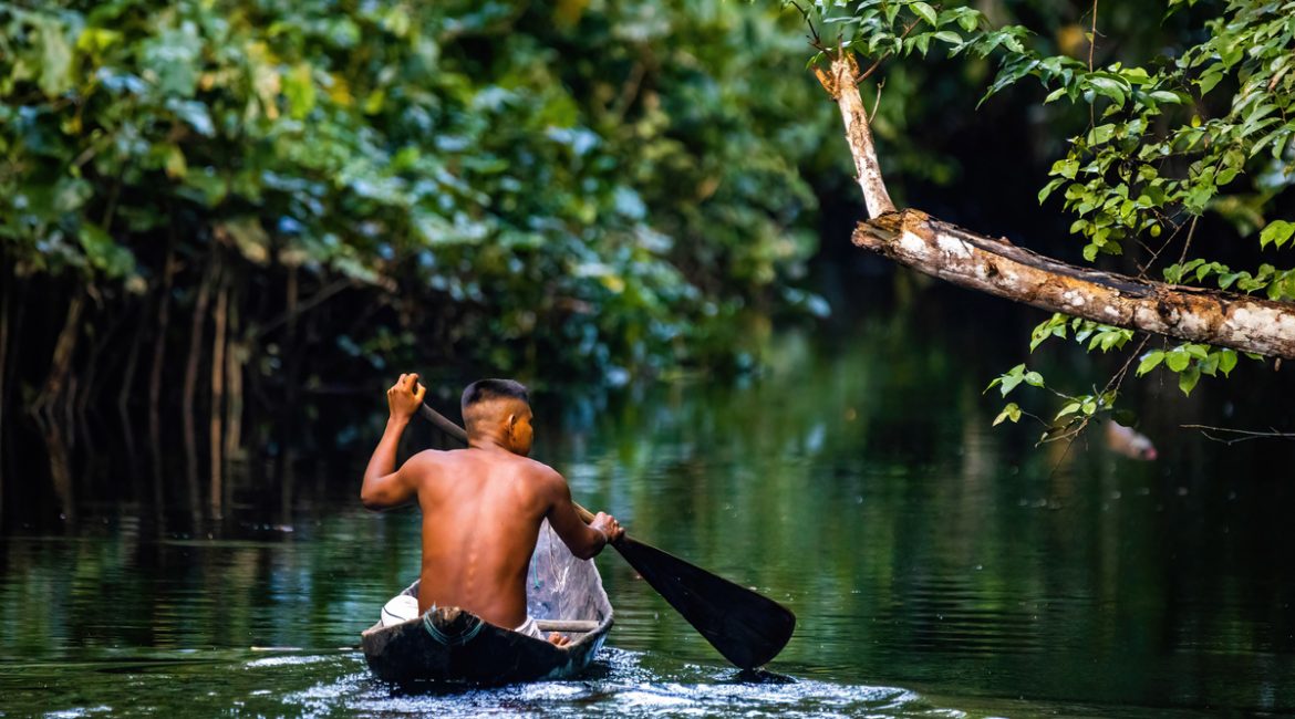 O Dia da Amazônia: um convite a refletir sobre a importância da preservação