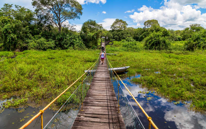 Óculos quebrado e uma viagem ao Pantanal