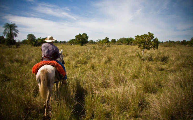 Óculos quebrado e uma viagem ao Pantanal